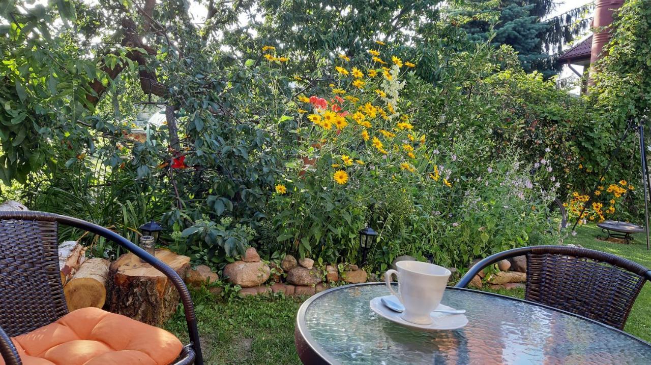Apartament Bema Biała Podlaska Εξωτερικό φωτογραφία